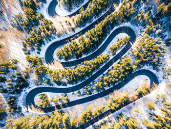 Aerial view of road amidst tree during winter