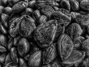 Full frame shot of apricot seeds