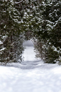 Snow covered landscape