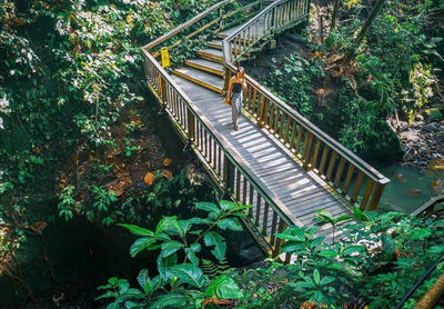 Forest footbridge