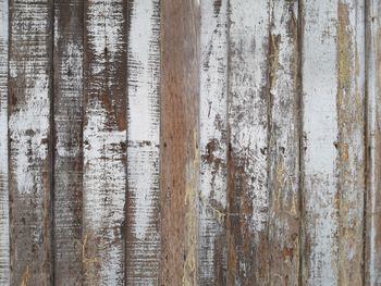 Close-up of old wooden plank