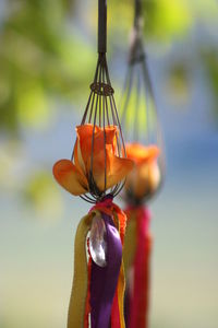 Close-up of flower hanging against sky