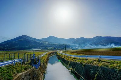 Stream and plants against sky