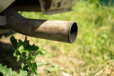 Close-up of wood against blurred background