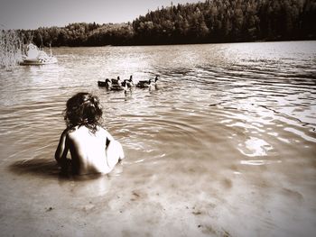 Rear view of naked kid with ducks swimming in lake