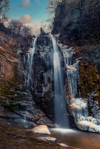 View of waterfall in forest