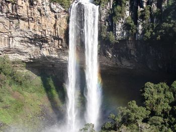 View of waterfall in forest