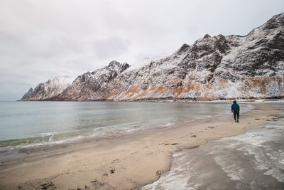 Traveller walks along popular tourist beach ersfjord on senja island in norway