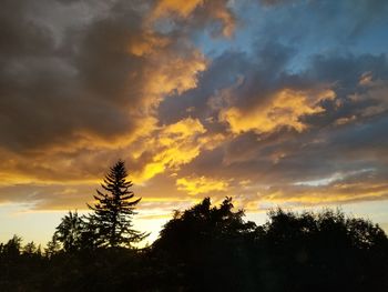 Low angle view of silhouette trees against sky during sunset