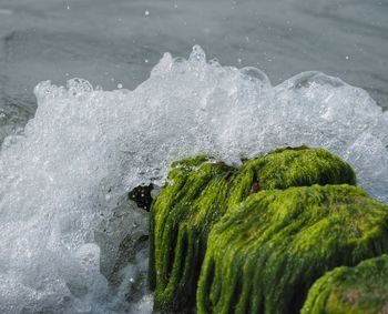 Close-up of water splashing on rocks