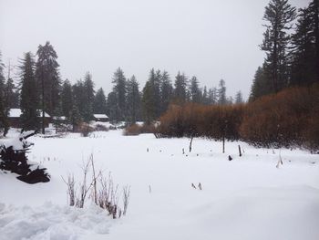 Scenic view of snow covered landscape