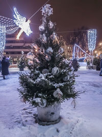 Illuminated christmas tree in snow