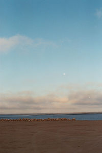 Scenic view of beach against sky during sunset