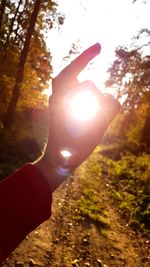 Close-up of hand holding sun shining through trees