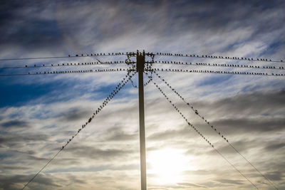 Low angle view of silhouette crane against sky during sunset