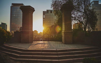 Sunlight streaming through trees in city during sunset