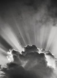 Low angle view of silhouette airplane flying in sky