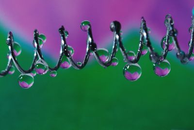 Close-up of water drops against blue background