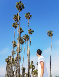 Rear view of man standing by palm tree against sky