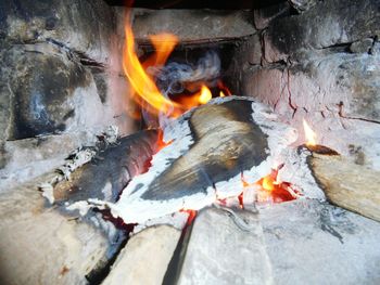 Close-up of bonfire on wood