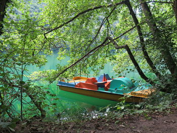Boat moored in water by trees in forest