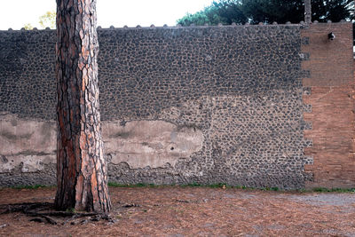 View of weathered wall