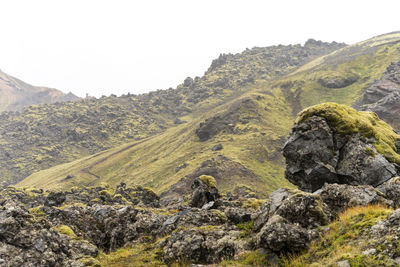 Black lava rock covered with moss looks like a giant head