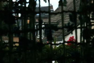 Defocused image of building and trees in city