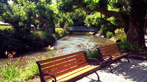 View of bench in park