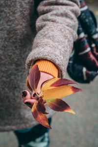 Cropped hand of woman holding leaves during autumn