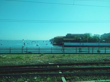 Trees against blue sky