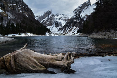 Scenic view of lake and snowcapped mountains against sky