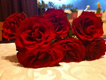 Close-up of red roses