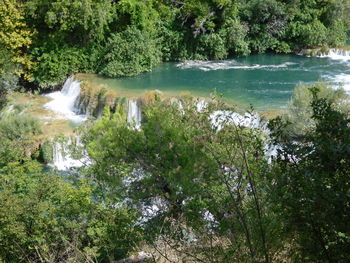 Scenic view of waterfall in forest