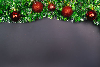 High angle view of christmas tree against white background