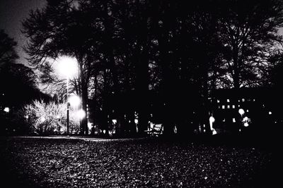 Illuminated street lights at night