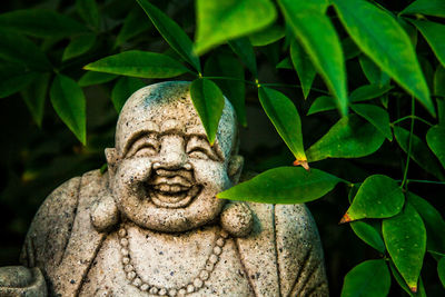 Close-up of statue against tree