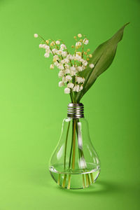 Close-up of flowers in light bulb against green background