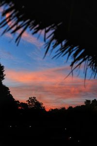 Low angle view of silhouette trees against romantic sky