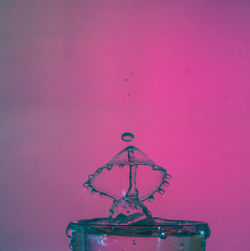 Close-up of pink hanging against wall