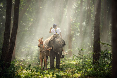 People riding motorcycle in forest