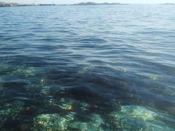 High angle view of sea