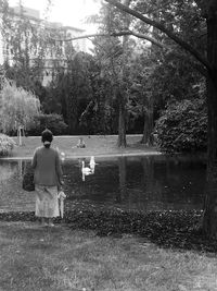Rear view of men in park