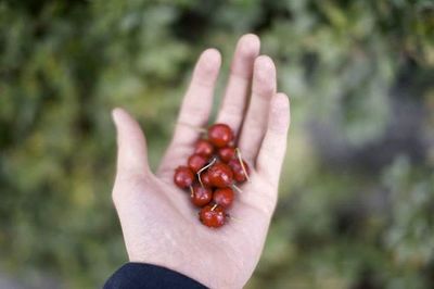 Close-up of cropped hand