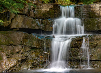 Scenic view of waterfall in forest