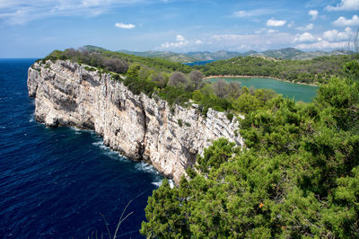 High angle view of trees and sea against sky