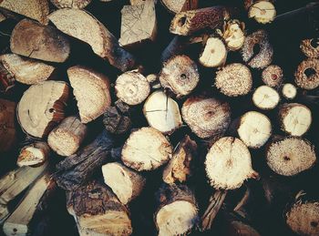 High angle view of firewood