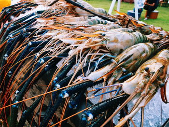 Shrimp for sale at market