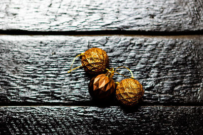 Directly above shot of crab on wood