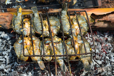 High angle view of fish for sale at market